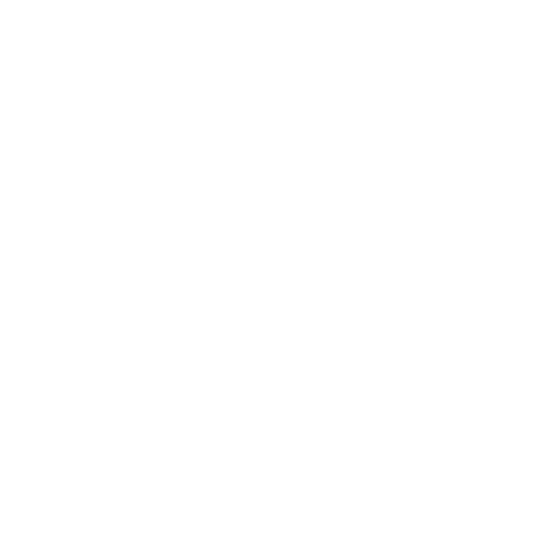 logo officiel de la conduite accompagnée